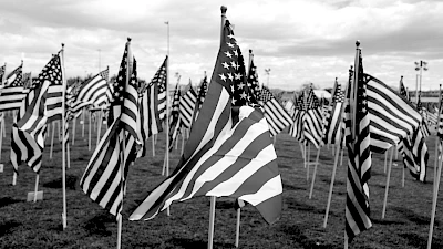 Citizenship chapter cover