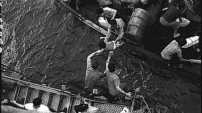 War & Displacement chapter cover